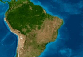 Monitor do Fogo do MapBiomas aponta que Brasil teve redução de 70% na área queimada primeiro trimestre de 2025
